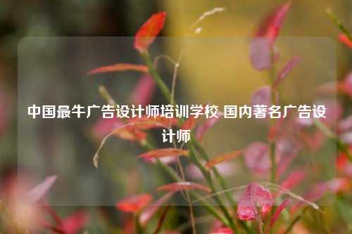 中国最牛广告设计师培训学校 国内著名广告设计师