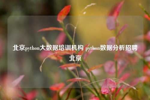 北京python大数据培训机构 python数据分析招聘北京