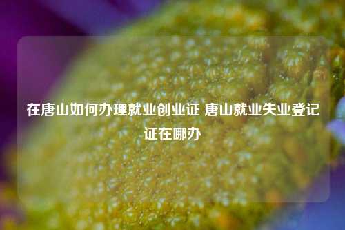 在唐山如何办理就业创业证 唐山就业失业登记证在哪办