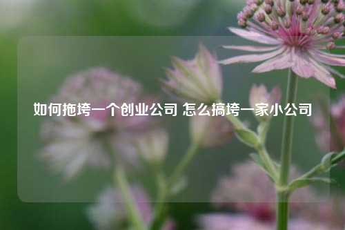 如何拖垮一个创业公司 怎么搞垮一家小公司